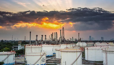 ����Ѳ�참��