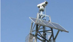 ���ϱ�ͤ��Ȼ��������������ɭ�ַ���