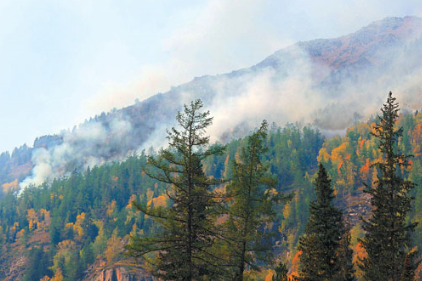 �½�����̩��Ȼ��������������������Ԥ��