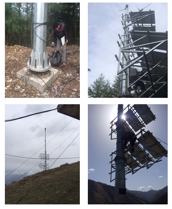 ����ɭ�ַ���Ԥ����Ŀ