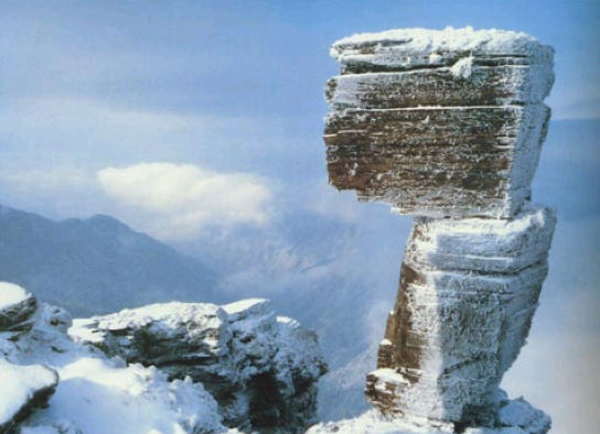 mg����ͻ��(�й���)�ٷ���վ