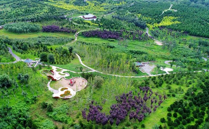 mg����ͻ��(�й���)�ٷ���վ