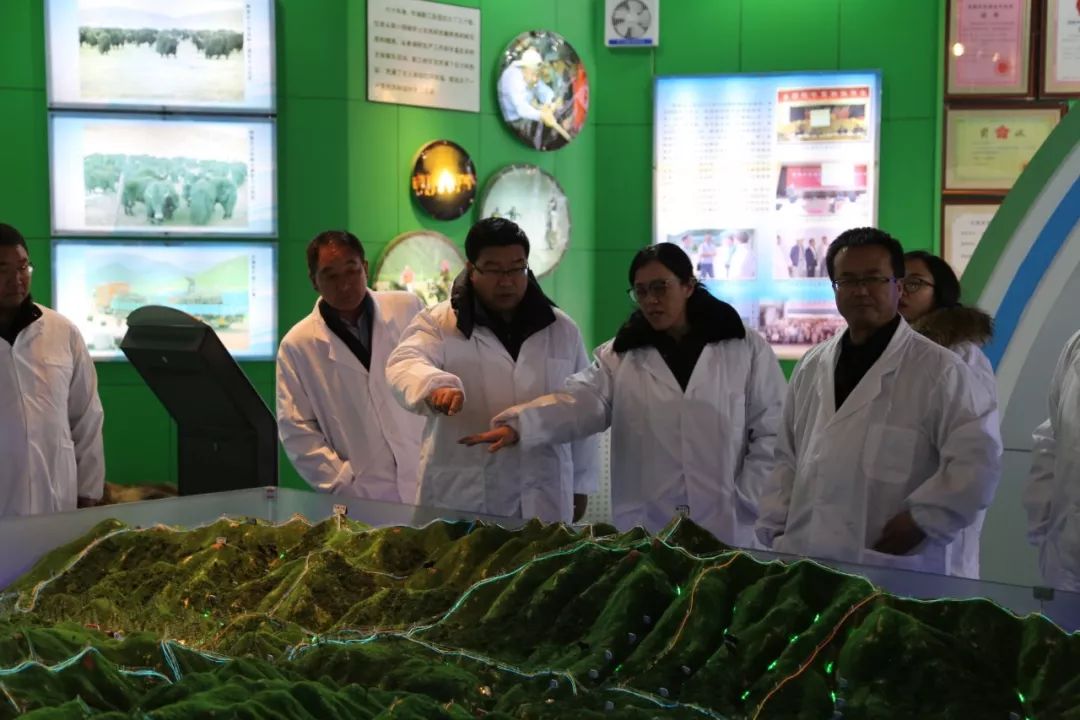 ���������س�������һ�м�鴺��ɭ�ַ�������