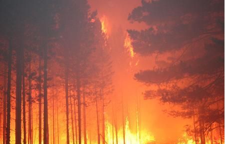 mg����ͻ��(�й���)�ٷ���վ