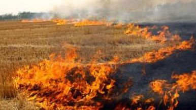 mg����ͻ��(�й���)�ٷ���վ