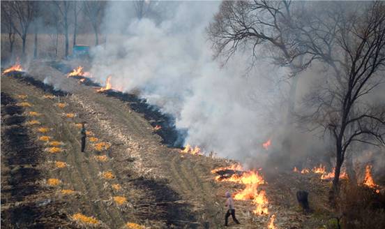 �ٽ�����ҵ��ɭ�ַ�����Ƶ�����Ŀ�����б�ͨ��