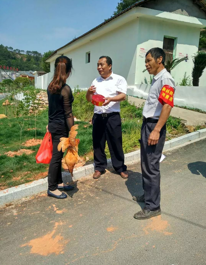 mg����ͻ��(�й���)�ٷ���վ