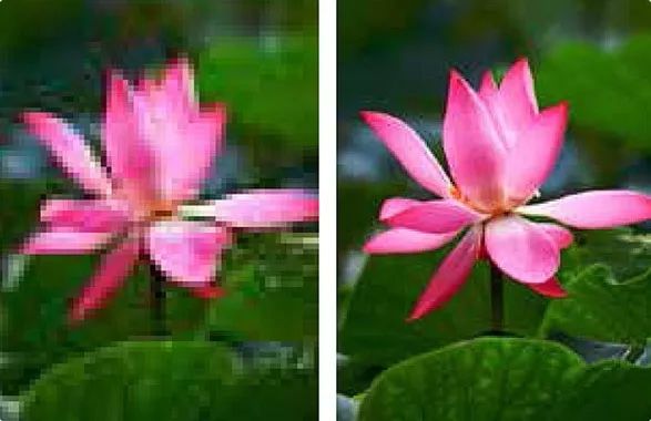 mg����ͻ��(�й���)�ٷ���վ