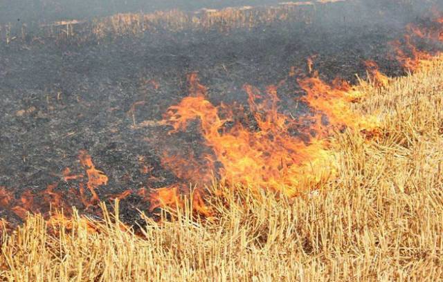 ũ��ոѽ��յ��Ӽ������ͷװ��,��ؽո�ȼ��Σ��������Ⱦ