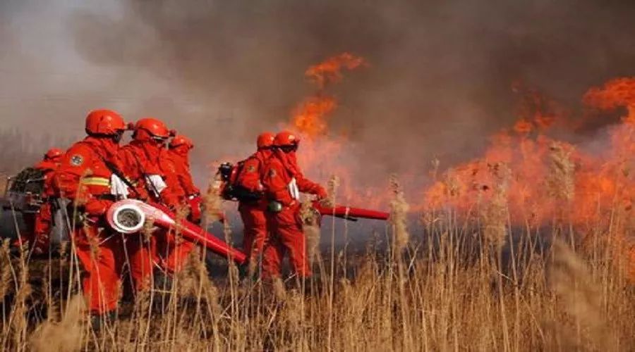 mg����ͻ��(�й���)�ٷ���վ