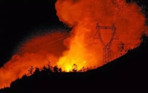 ������� ��ʧ���� ɭ�ַ��� ���ӳ���