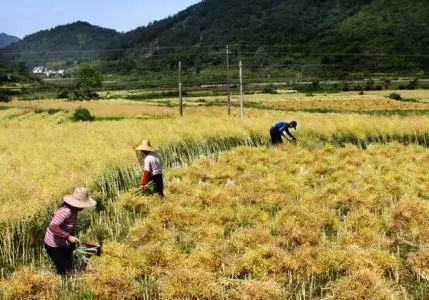 �ոѽ��ռ� | եȡһ��¶��ȼ�սո���Ϊ��������������ͨ�桢������������