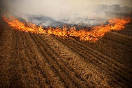 �ո�ȼ�����߼���ֳɼƻ�