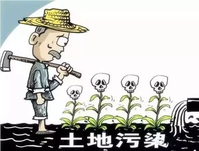 mg����ͻ��(�й���)�ٷ���վ