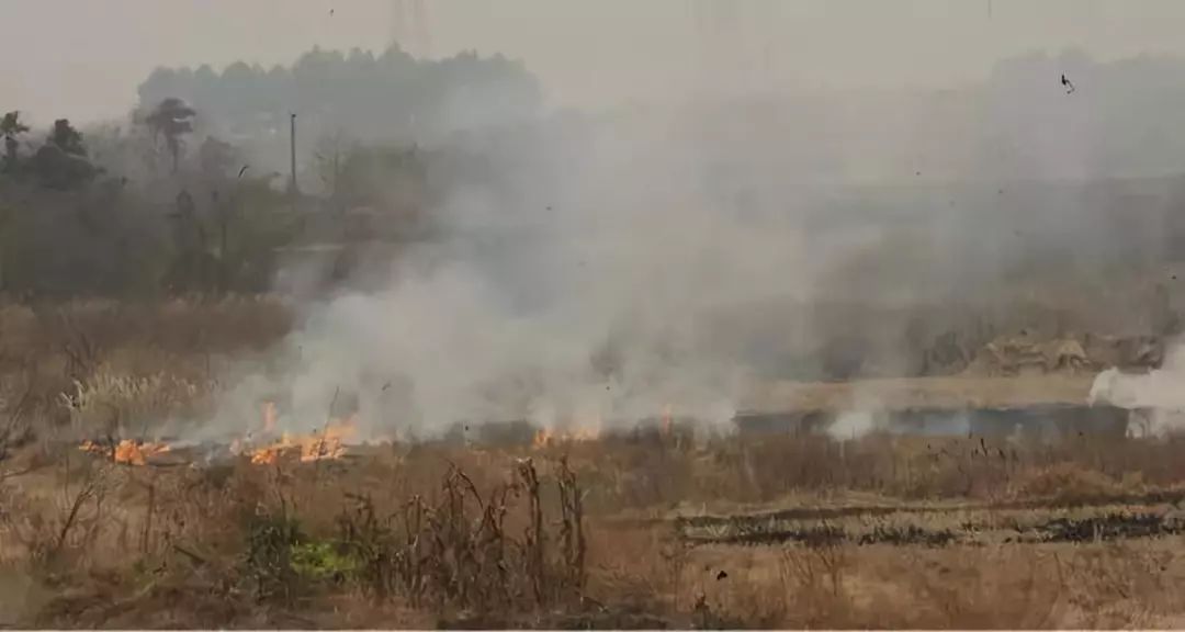 mg����ͻ��(�й���)�ٷ���վ