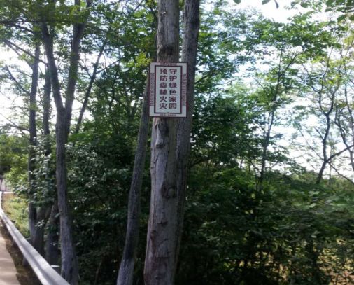 mg����ͻ��(�й���)�ٷ���վ