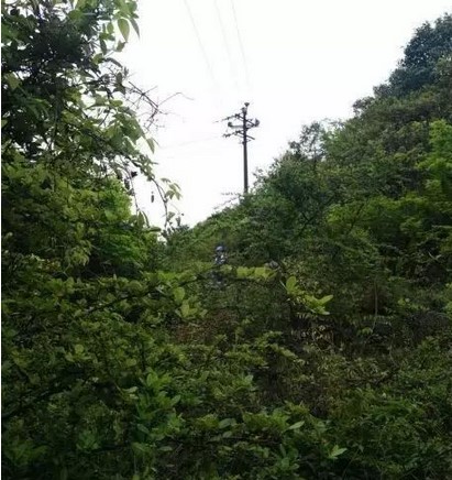 mg����ͻ��(�й���)�ٷ���վ