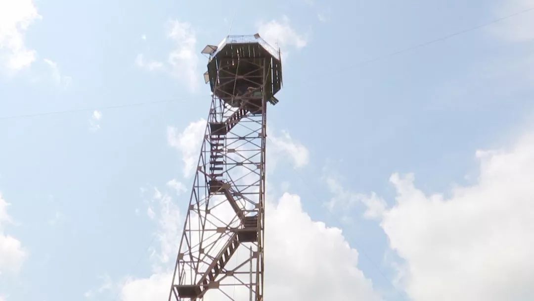 ����ɭ�ַ����ص��� Ϊ�������Ѿ�12�������?