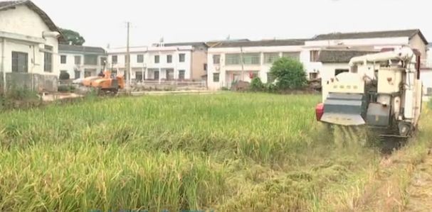 mg����ͻ��(�й���)�ٷ���վ