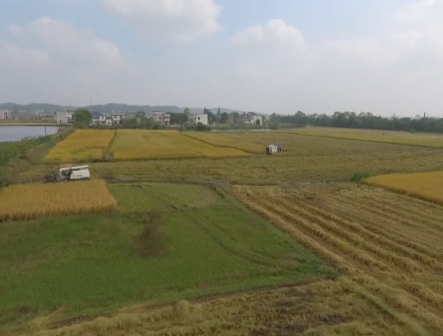 mg����ͻ��(�й���)�ٷ���վ