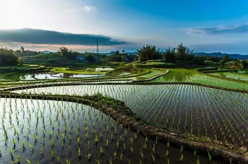 ������ˮ��ɽ����������������ũ����ɢʽ��ˮ���óͷ�Զ�̼��ϵͳ������ˮ���óͷ���Ϣ������