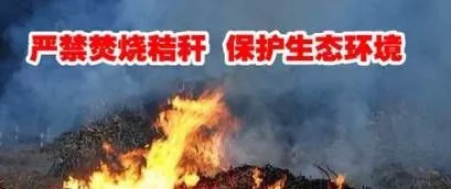 mg����ͻ��(�й���)�ٷ���վ