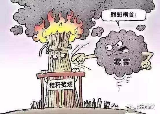 mg����ͻ��(�й���)�ٷ���վ