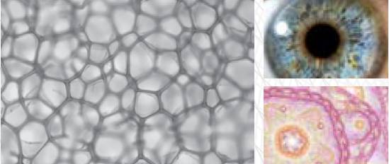 mg����ͻ��(�й���)�ٷ���վ