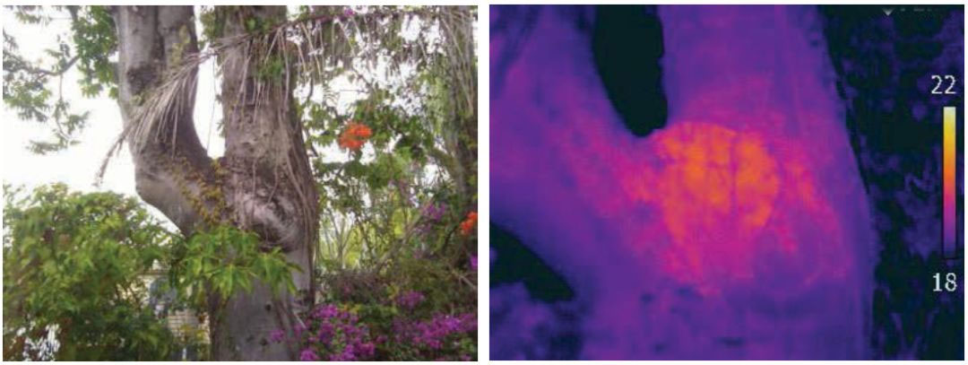 mg����ͻ��(�й���)�ٷ���վ