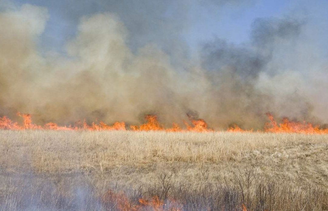 mg����ͻ��(�й���)�ٷ���վ