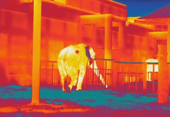 mg±ùÇòÍ»ÆÆ(ÖйúÓÎ)¹Ù·½ÍøÕ¾