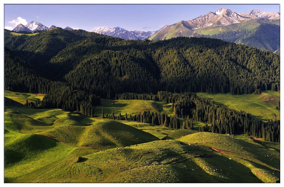 mg����ͻ��(�й���)�ٷ���վ