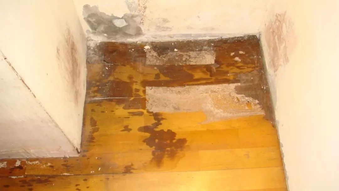 mg����ͻ��(�й���)�ٷ���վ