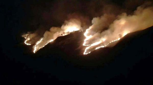 mg����ͻ��(�й���)�ٷ���վ