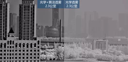 mg����ͻ��(�й���)�ٷ���վ