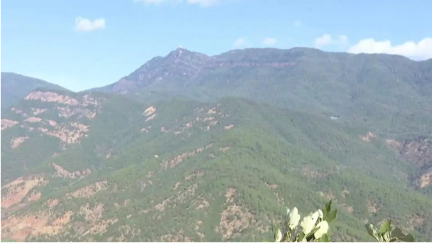 mg����ͻ��(�й���)�ٷ���վ