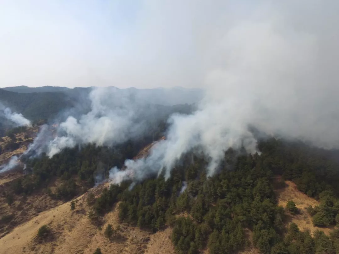 mg����ͻ��(�й���)�ٷ���վ