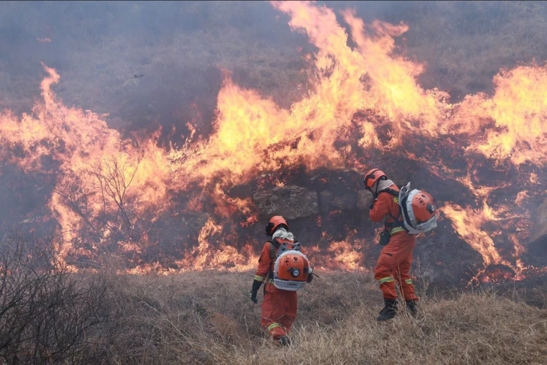 mg����ͻ��(�й���)�ٷ���վ