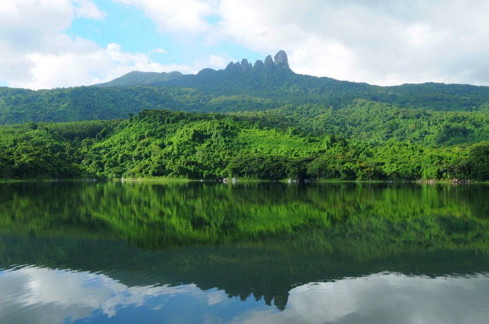 mg����ͻ��(�й���)�ٷ���վ