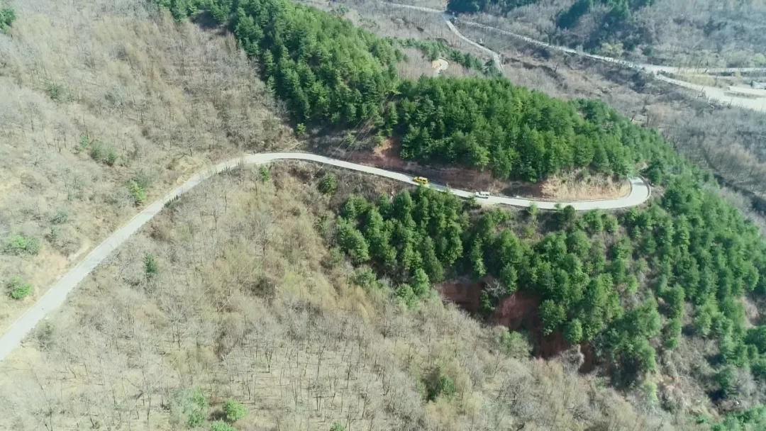 mg����ͻ��(�й���)�ٷ���վ