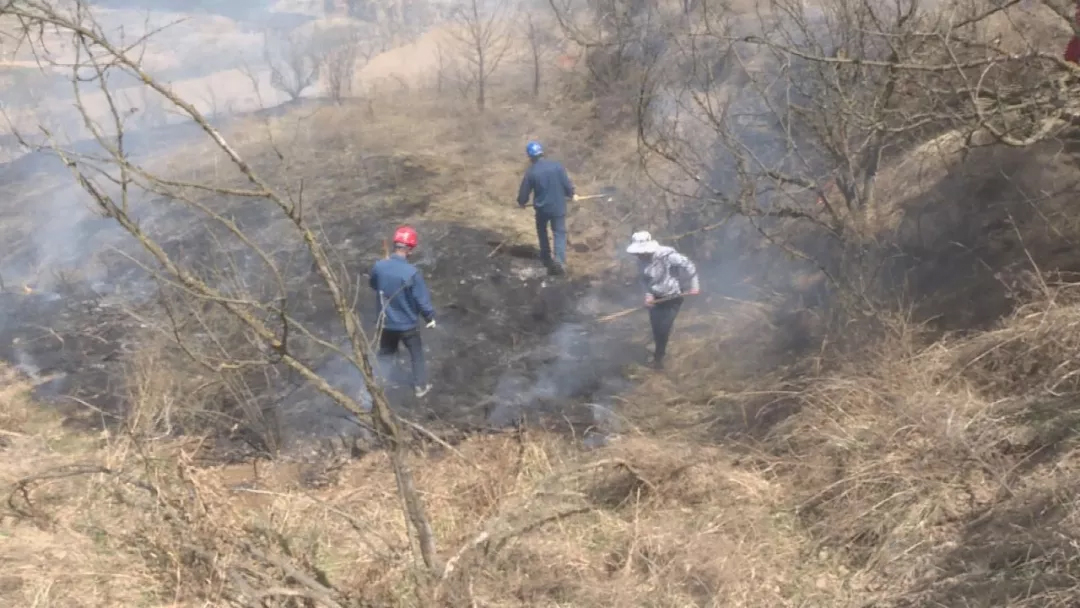 mg����ͻ��(�й���)�ٷ���վ