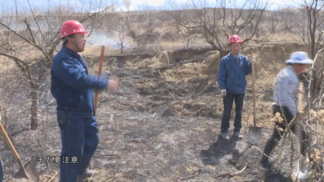 mg����ͻ��(�й���)�ٷ���վ