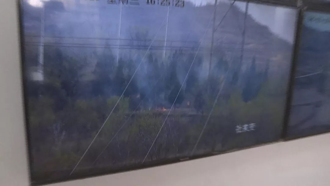 ������ɽ������ü�� 24Сʱ���Ѳ����ٳ���