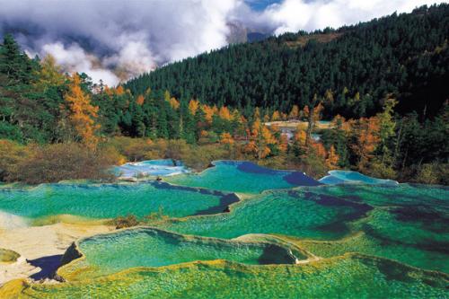 ��Ȼ�������������������ܹ������ϵͳ