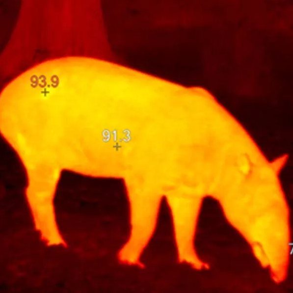 mg����ͻ��(�й���)�ٷ���վ