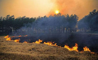 ��Ҫ�ƻ���̨����������������������Ⱦ�ۺ������������ˡ�ָ�Ӱ����͡�ʱ�����