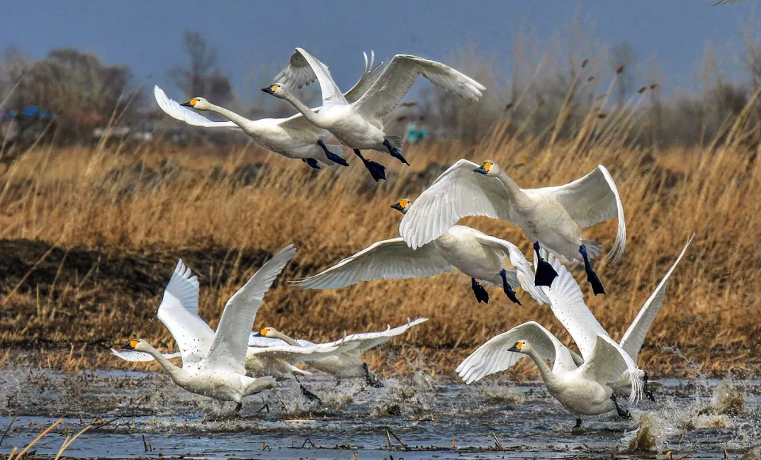 ȫʡ�����칤�̡�24Сʱ���!�żҿ�����Ҳ�������!