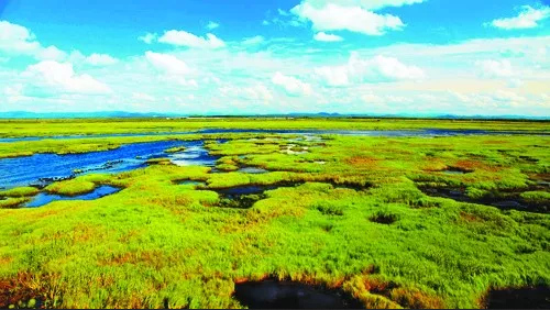 mg����ͻ��(�й���)�ٷ���վ