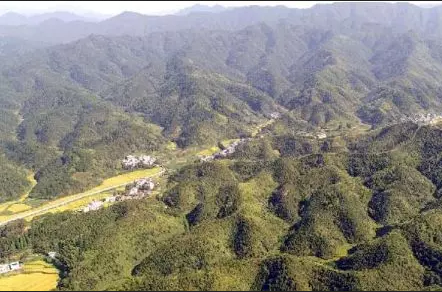 mg����ͻ��(�й���)�ٷ���վ