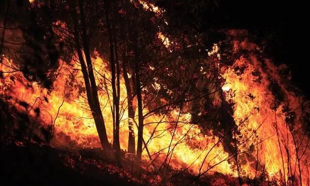 mg����ͻ��(�й���)�ٷ���վ